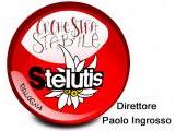 ORCHESTRA STABILE STELUTIS 
